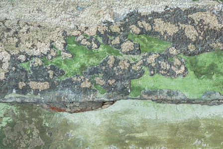 混凝土墙 风景风格 水泥表面 大背景或纹理上的老旧石膏墙纸石头褐色合金棕褐色绿色白色灰色三叶草艺术背景图片