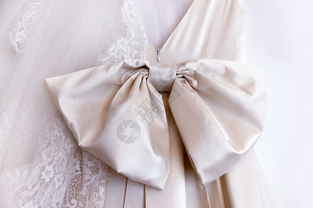 新娘的服装婚礼蓝色庆典衣服按钮正装裙子丝绸面纱白色高清图片