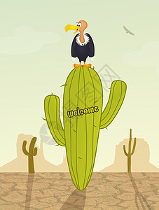 墨西哥仙人掌上的秃鹰背景图片
