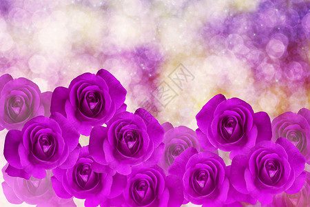 紫紫玫瑰和紫玫瑰团群 在丁香与红心相伴的bokoh背景图片