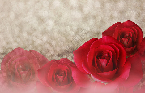 在bokeh抽象情人节背景上的浪漫红玫瑰背景图片