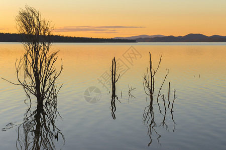 文豪昆士兰的维芬霍湖白天反射黄色绿色蓝色天空背景