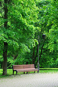 公园中的法官胡同孤独木头树篱场景长椅家具花园休息椅子背景图片