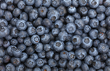 新鲜蓝莓的背景背景图片