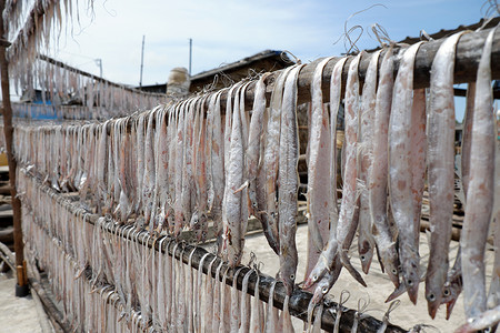 金瓯让Ca Mau渔村干鱼农业团体金瓯食物海鱼产品钓鱼市场美食海鲜背景