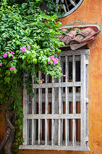 卡塔赫纳德印第亚斯历史性黄色历史窗户房子建筑学植物花朵古董橙子背景图片