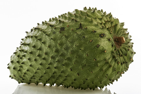 异国情调的热带水果  刺番荔枝绿色食物白色背景图片