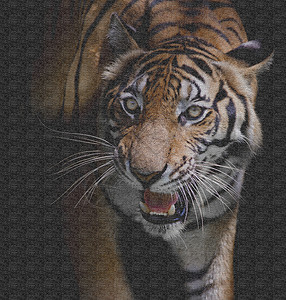 用于屏幕和印刷的老虎图案设计野生动物装饰风格绘画古董橙子材料荒野石头动物背景图片