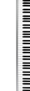 钢琴键盘乐器音乐通道白色旋律钥匙动作象牙插图背景图片