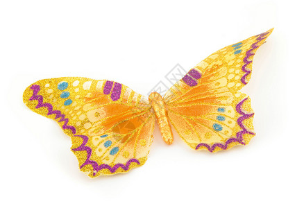 白色的黄蝴蝶黄色红色环境翅膀脆弱性昆虫鳞翅目橙子高清图片