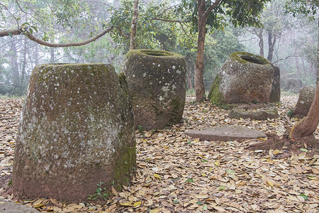 老挝Jars平原景点旅行旅游观光薄雾全景石缸假期背景图片