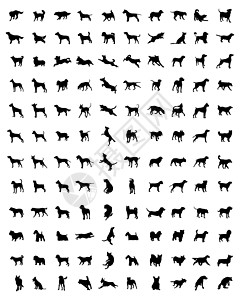 拉布多犬狗的轮廓小狗斗牛犬样本危险猎犬收藏斑点贵宾概念插图插画
