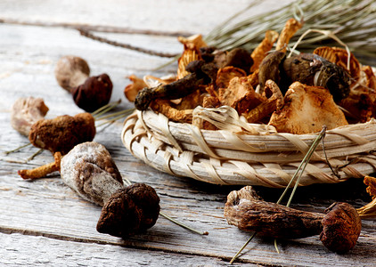 波多贝罗干燥蘑菇安排纹理棕色素食者生食食用菌灰色美食家健康饮食背景森林背景