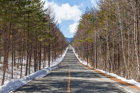 清蓝天空的冬季道路背景图片