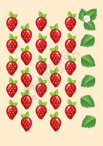 红托竹荪成熟多汁的红草莓与叶子和花朵隔绝 韦克托果味食物水果种子甜点养分宏观浆果插画