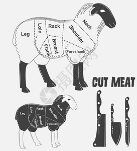 羊肉切片英国对羊肉或动物图表肉的切片方案屠宰场插图屠夫腰部小腿脖子肋骨身体农业插画