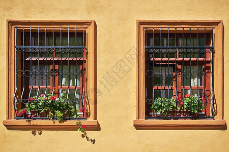 有花的窗口房子窗框窗户格栅建筑箅子框架背景图片