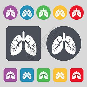 肺部图标符号 一组有12色按钮 平面设计 矢量气管实验室艺术生物学结核捐赠者器官身体解剖学呼吸插画