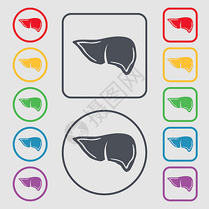 肝脏图标标志 带有框架的圆形和方形按钮上的符号 韦克托插画