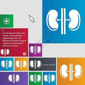 命脉Kidneys 图标符号 按钮 带有光标指针的现代界面网站按钮 Victor插画