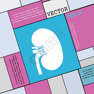 时夏方长肾脏图标符号 您设计时的现代平板风格 矢量插画