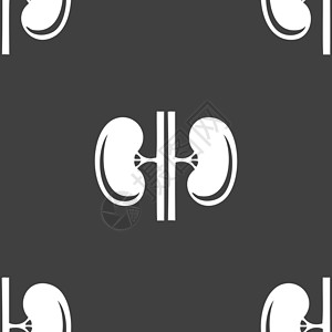 命脉肾脏标志 灰色背景上的无缝模式 韦克托电脑网络器官尿液医生输尿管解剖学动物标识绘画插画