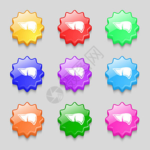 生物活性肽活性图标符号 9个宽度彩色按钮上的符号 矢量设计图片