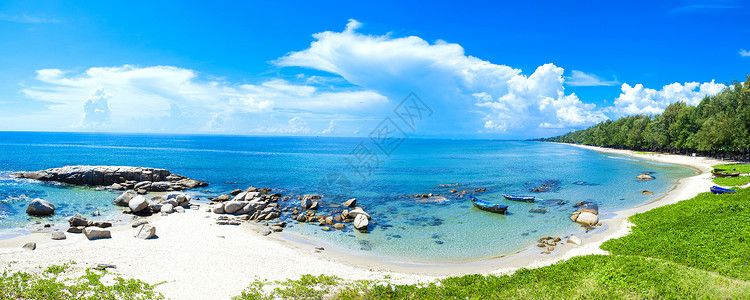 东海椰子海滩蓝色海浪太阳场景棕榈海洋风景全景背景图片