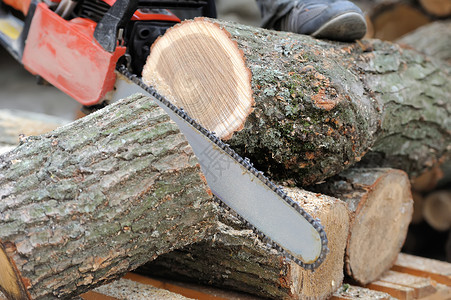 链锯和树樵夫森林锯末危险树干工作力量记录技术男性高清图片