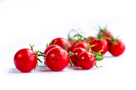 白色背景樱桃西红柿群背景图片