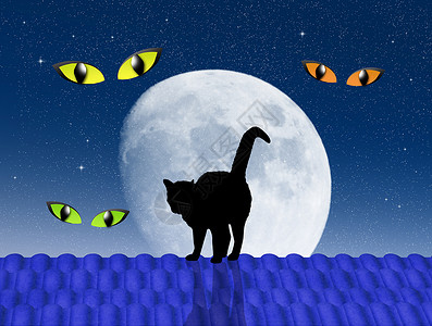 月亮猫万圣节猫在屋顶上背景