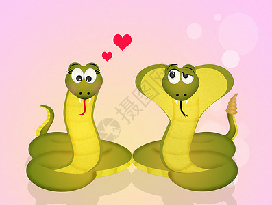 相爱的情侣皮肤婚姻庆典夫妻动物摇铃插图明信片脊椎动物眼镜蛇背景图片