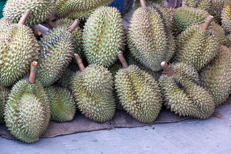 果实之王榴莲市场国家国王进攻热带季节香味水果营养背景图片