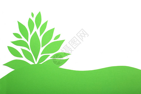 绿纸厂创造力生态衬套叶子环境植物白色照片背景图片