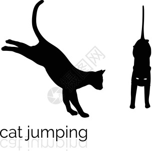 猫砂铲白色背景上的猫肥猫野猫冒充黑猫流浪猫剪影袋子插图阴影跳跃插画