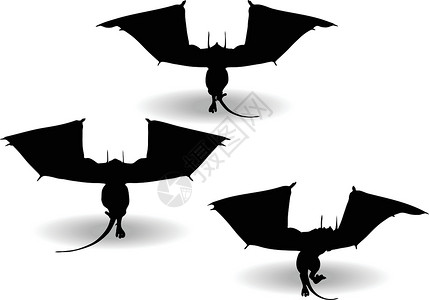 白色背景上的龙姿势芡实翅膀鞑靼插图剪影神话蜥蜴怪物飞龙背景图片