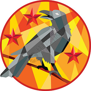 黑乌鸦Crow Perch 星环低多边形设计图片