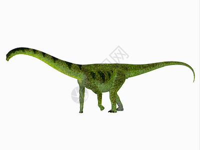 Puertasaur 恐龙边视图背景图片