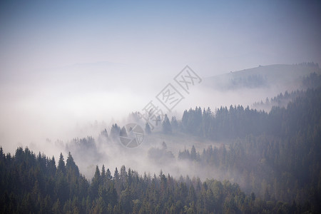 9月秋天 山上大雾的清晨环境山坡森林草垛木头场地薄雾丘陵牧场乡村背景图片