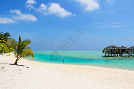 梦幻岛海洋马尔代夫有椰子棕榈和水平房的白沙滩天空海滩推杆蓝晶天堂异国蓝色情调假期天赋背景