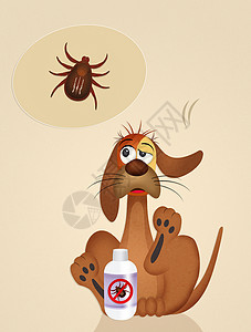有滴答的狗洗发水小狗插图混蛋流浪疾病梳子寄生虫宠物昆虫背景图片