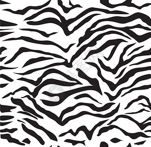 矢量 Zebra 模式皮肤白色正方形插图背景图片