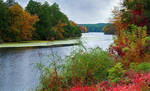 秋季的河流和森林地貌高清图片