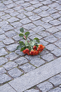 人行道上一束玫瑰花珊瑚石头树叶植物学街道花店花瓣城市路面背景图片