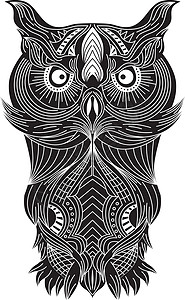 猫头鹰艺术主题风格插图装饰背景图片