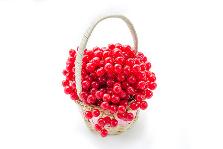 佩德在孤立的小篮子中 玫瑰红色的果浆背景