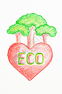 生态心脏概念植物生长心叶铅笔季节生活绿叶环境背景图片