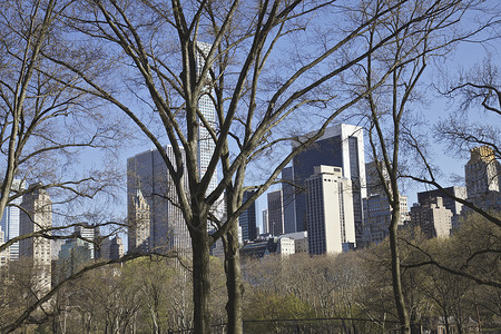 美国纽约市曼哈顿天线中央公园背景图片