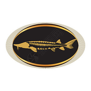 鲟鱼子酱提取物鱼子酱概念设计打印横幅海鲜贴纸标识餐厅海洋钓鱼鱼子美食插画
