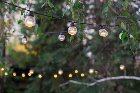 挂彩灯的树树上挂着照明灯泡的装饰性电动节日b背景